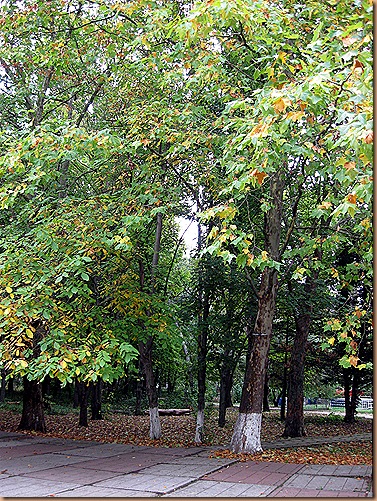 IMG_5451