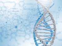 Gen, DNA, dan Kromosom-Biologi Kelas XII