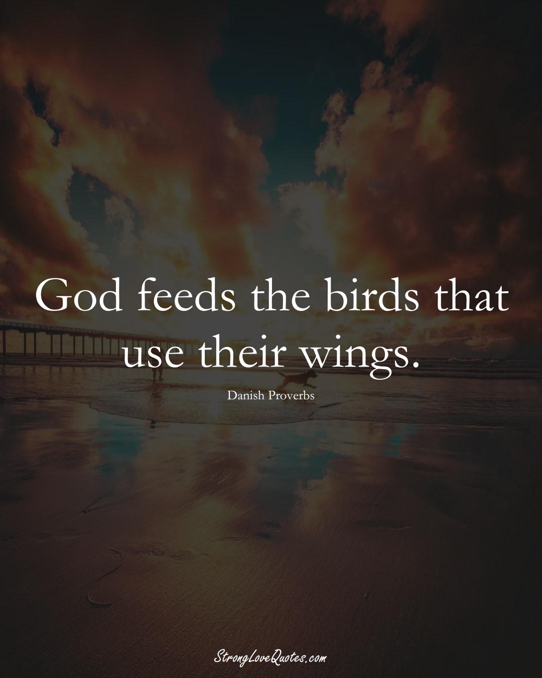 God feeds the birds that use their wings. (Danish Sayings);  #EuropeanSayings
