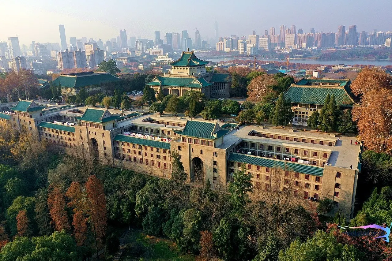 Universitas Terbaik di China
