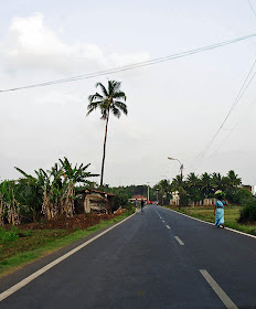quiet road with palm trees in Goa, India