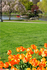 Boston Public Garden en Primavera