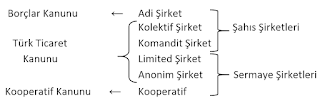 Şirket Türleri