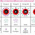 Why is it important different types of blood group?