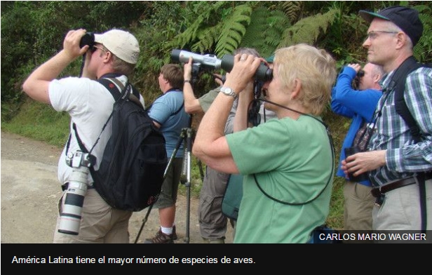 Avistaje en Salta, Argentina. Birdwatching y fotografía de Juan Carlos Gorrini.