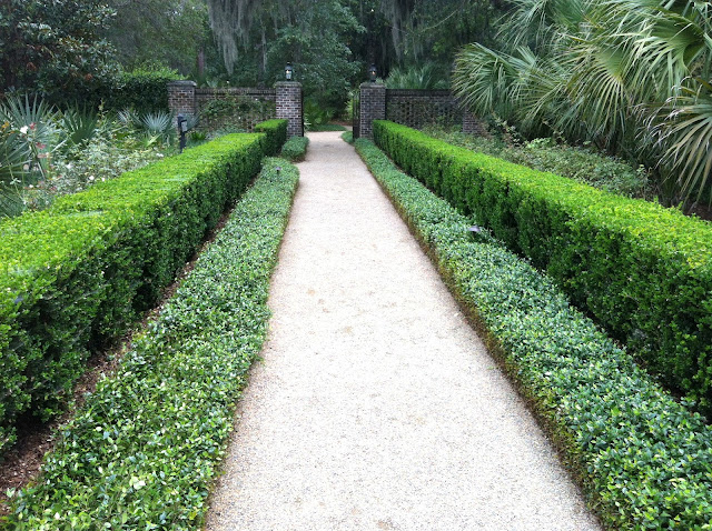 landscaping in the South