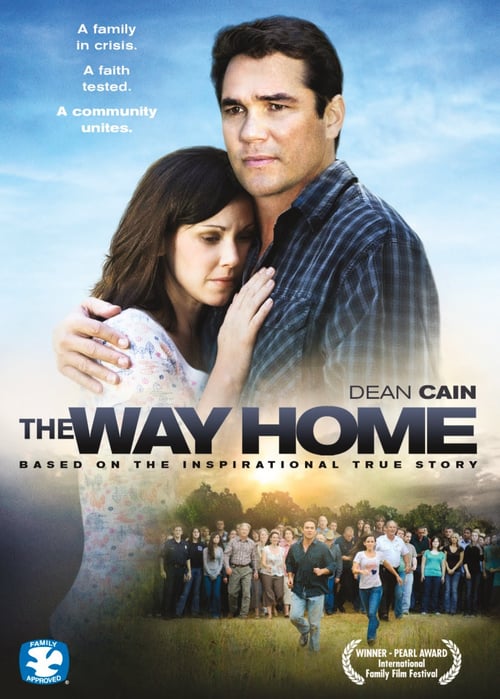 Ver El camino a casa 2010 Online Audio Latino