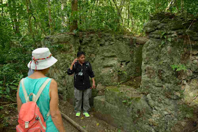 Photo of a guide in Tikal National Park pointing out one of the ruins