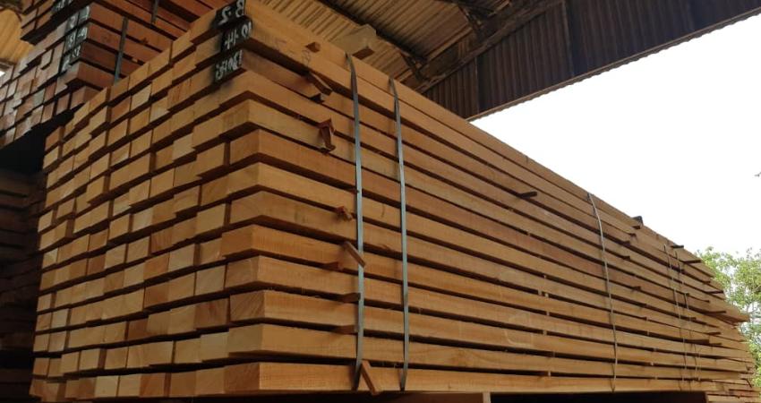 beragam manfaat kayu keruing