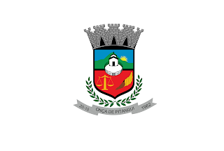 Bandeira de Onça do Pitangui - MG