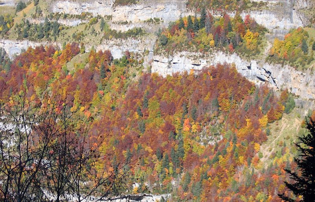 Otoño en Ordesa