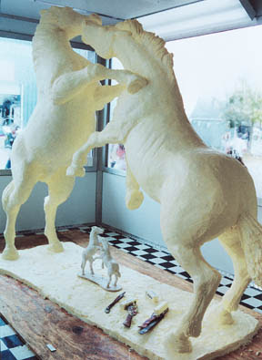 Fighting Butter Horses