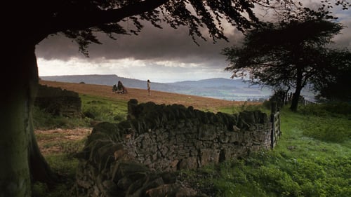 Barry Lyndon 1975 en ligne