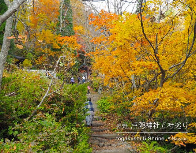 [秋の戸隠神社] 二池＋五社巡り