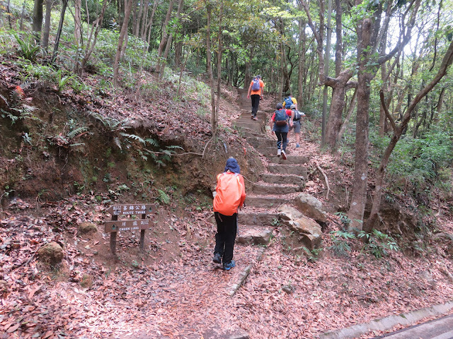 向川龍方向，繼續走郊遊徑