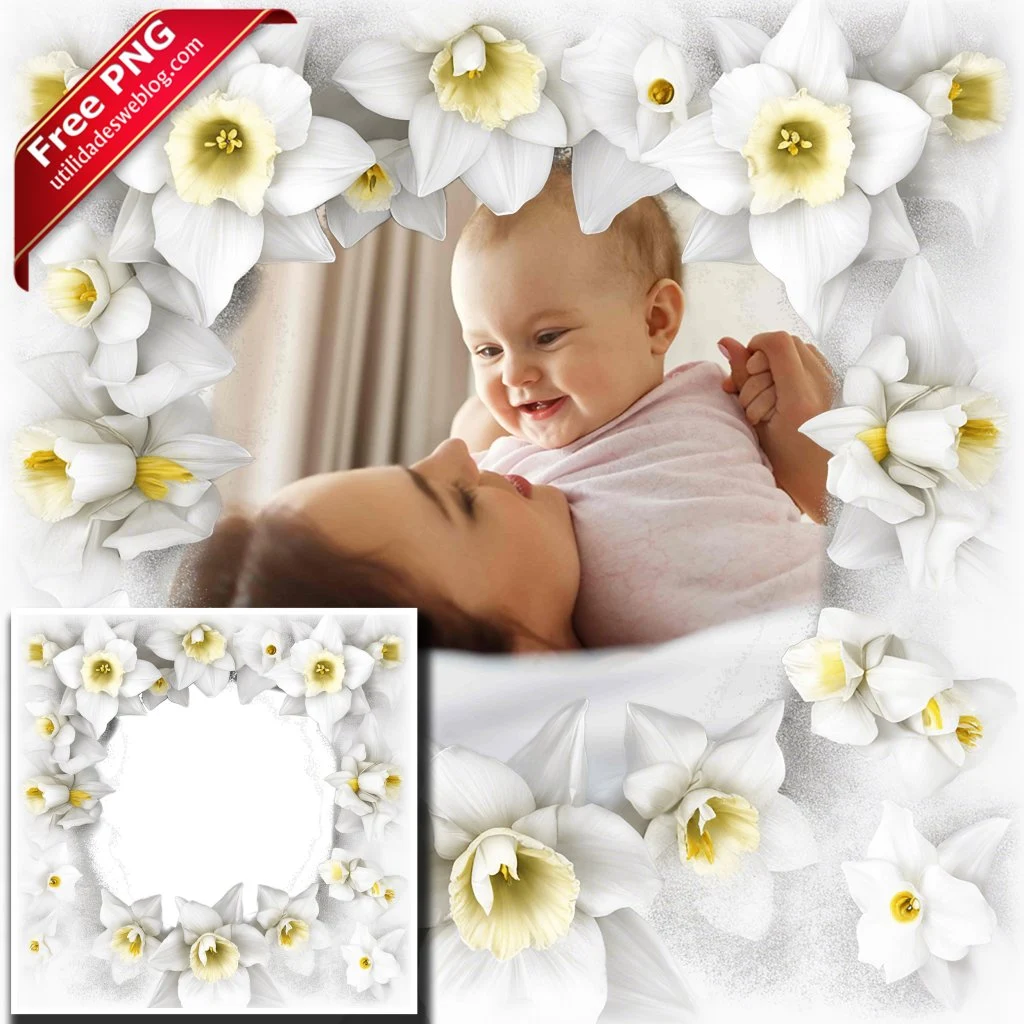 marco para fotos con flores de daffodil o narcisos blancos en png con fondo transparente para descargar gratis