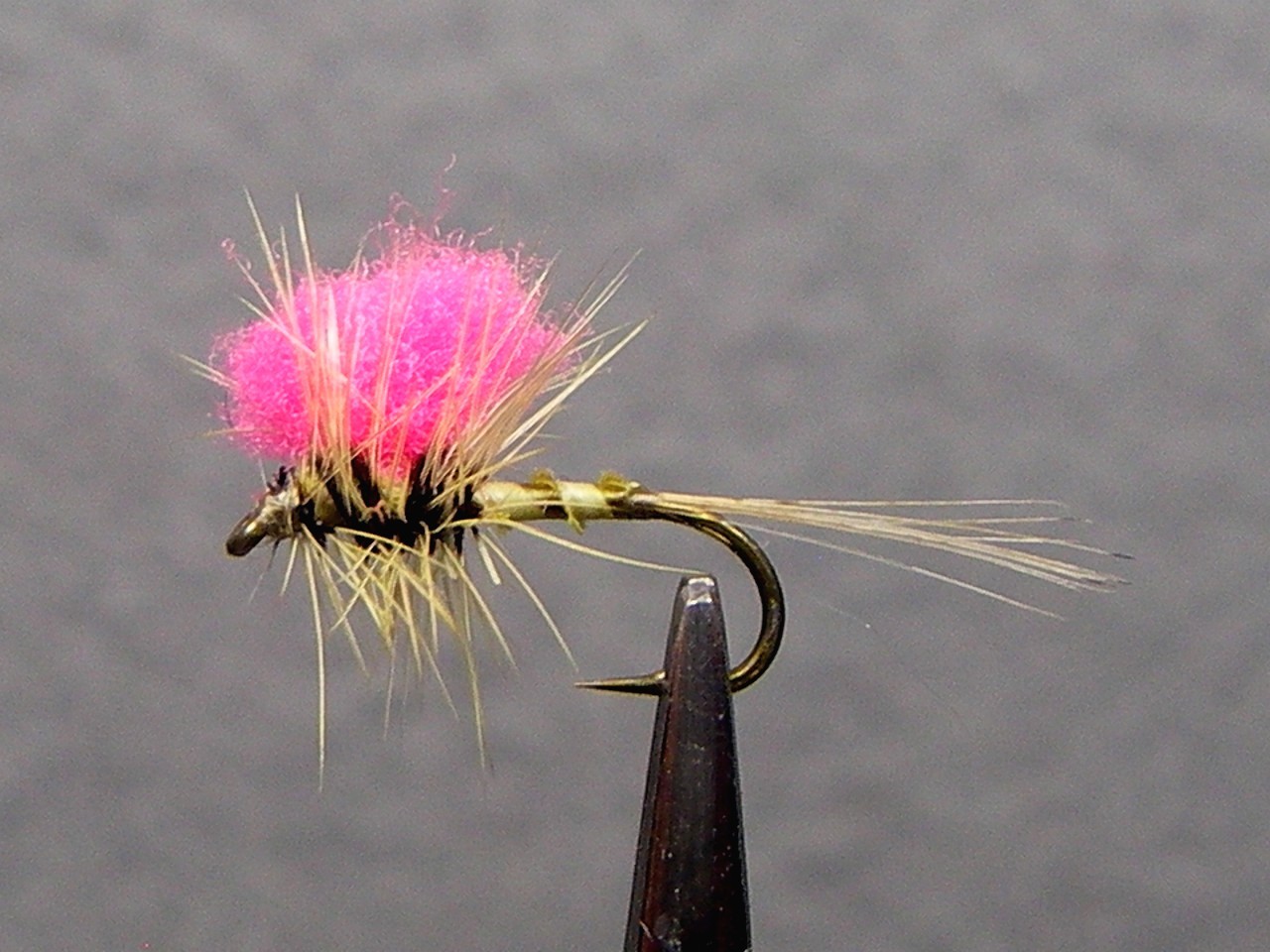 Tan ACP (Another Caddis Pupa)