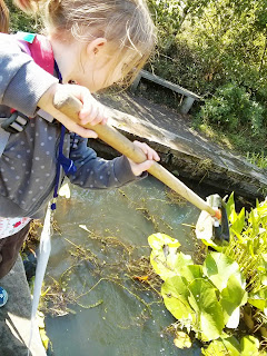 pond dipping