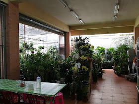 エカマイの植物屋