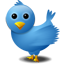 Twitter Page
