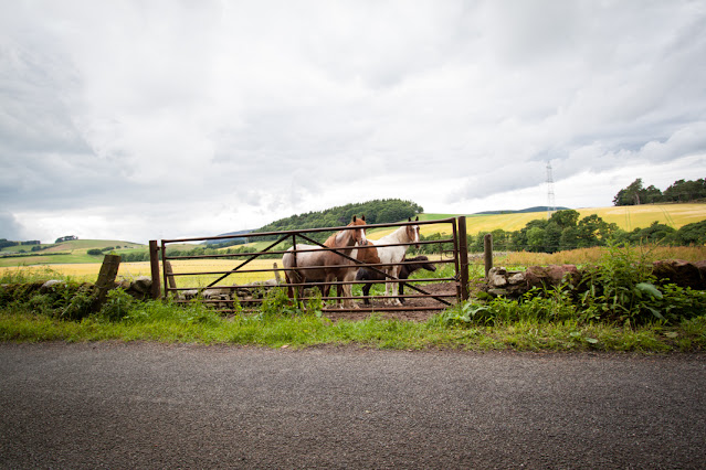 Glen Cova