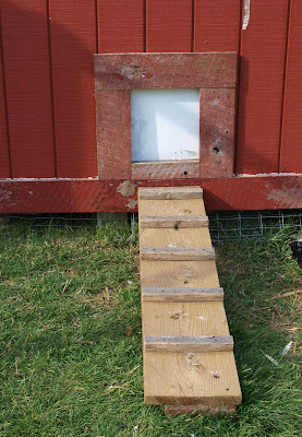 ~ohio thoughts~: building a chicken coop