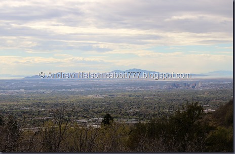 IMG_0464 - Copy