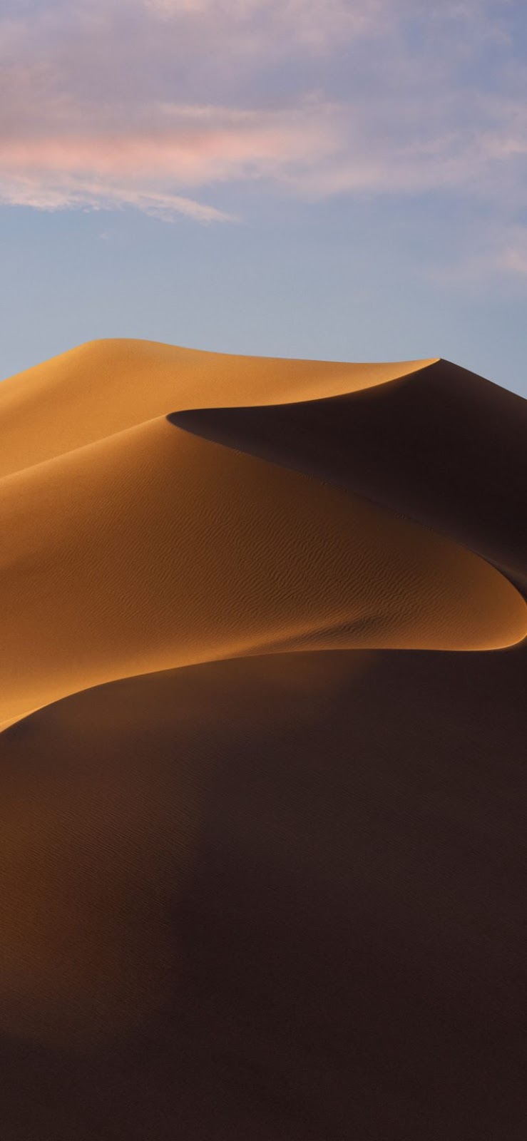 Download The Macos 10 14 Mojave Light Dark Wallpaper For Your Ios Devices