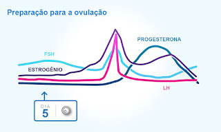 calendario menstrual dias fertiles, calculadora de dias fertiles para concebir niña, calculadora fertil, ciclo menstrual dias fertiles, dias fertiles de una mujer irregular, dias fertiles e infertiles, calculadora de ovulacion exacta y dias fertiles, que dias puedo quedar embarazada, calculadora de ovulacion y dias fertiles, 