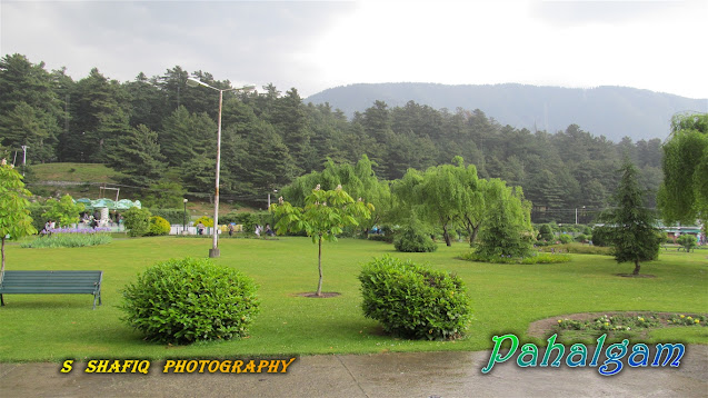 Wallpaper_Pahalgam