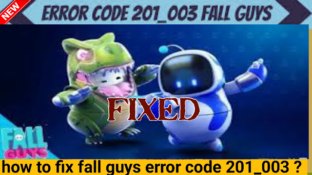 how-to-fix-fall-guys-error-code-201_003.jpg