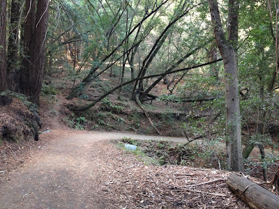 Hiking at Wunderlich park