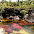 Cano Cristales, Indahnya Sungai Lima Warna di Kolombia