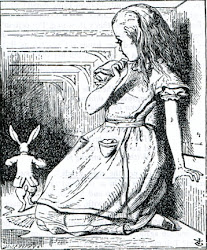 Down the Rabbit Hole