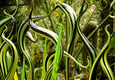 Chihuly in the Garden | Atlanta Botanical Garden | 2016