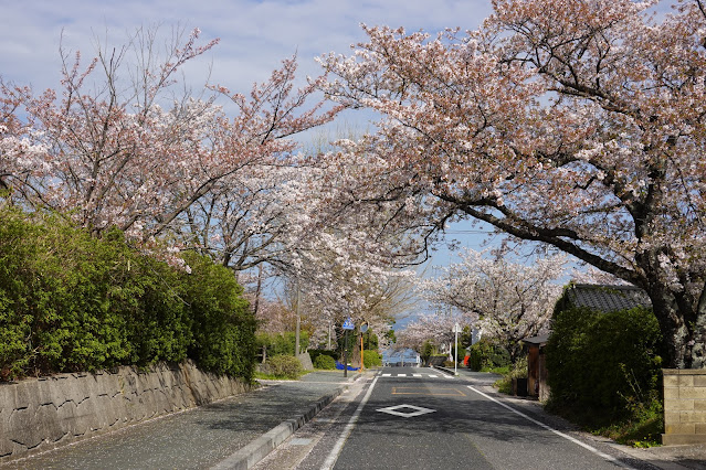 鳥取県西伯郡大山町御来屋 名和公園