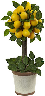 How to Grow a Lemon Tree Indoors