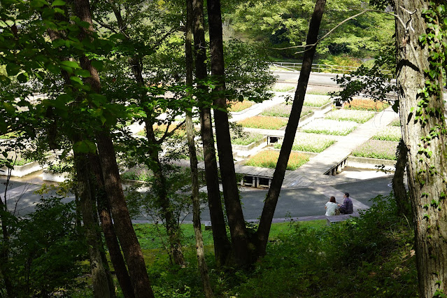 鳥取県西伯郡南部町鶴田　とっとり花回廊