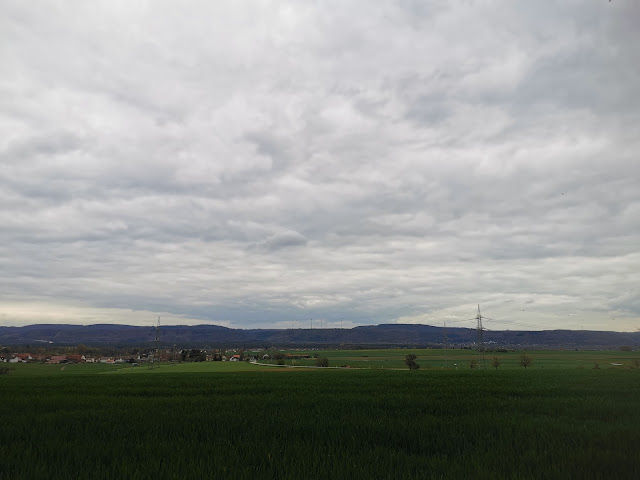 Schwalben beim Segeln zu schauen :)