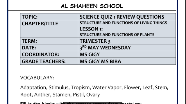 ورقة عمل STRUCTURE AND FUNCTIONS OF PLANTS العلوم المتكاملة الصف الرابع