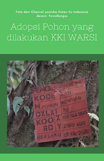 cara menjaga hutan, cara melestarikan hutan dengan baik, apa itu adopsi hutan, bagaimana cara adopsi hutan,