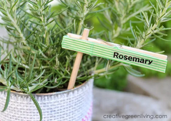How to make plant markers from clothespins