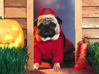 Fun Devil Dog Happy Halloweens