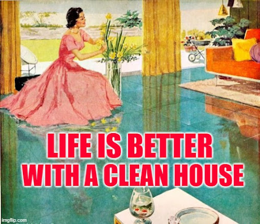 Life is better with a clean house. Housework Memes by JenExx