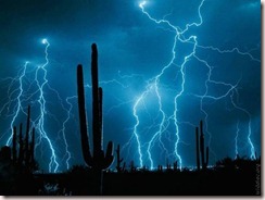 Cactus and Lightning