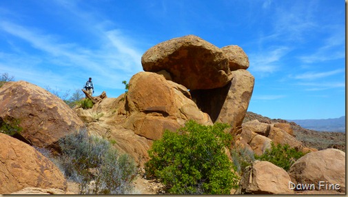 Grapevine to Balanced rock_056