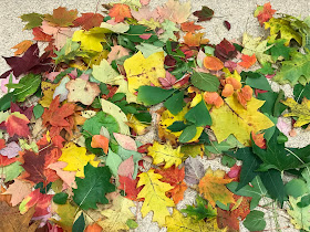 Leaf Art activities for kids