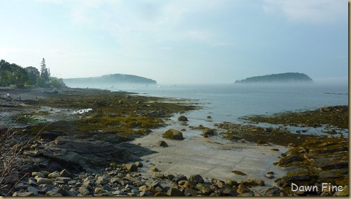 P1070697