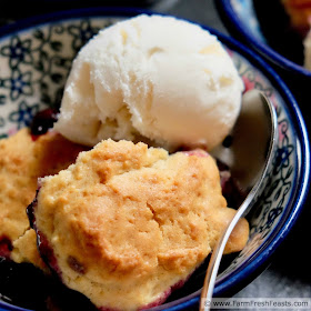 photo of a bowl of fresh cherry and blueberry cobbler with vanilla ice cream