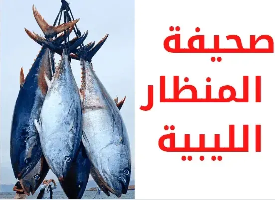 أسماك التونة في الساحل الليبي بالصور